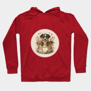 Cute Puppy in a candy box illustration Hoodie